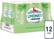 Упаковка лимонада Borjomi Limonati Тархун 0.33 л х 12 шт (4860019003104) - изображение 2