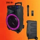 Акустическая система TMG SS-7171 200 Вт - изображение 5