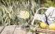 Набор бокалов для красного вина Fruity & Delicate Zwiesel Glas Vivid Senses 535 мл 2 шт 122427 - изображение 5
