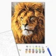 Картина за номерами Погляд на прайд (BS52292) Brushme 40x50 см Brushme - зображення 2