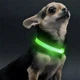 Світлодіодний LED нашийник Lesko Green XS USB для собак і котів світиться - зображення 3