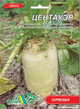 Насіння буряк кормовий Центауер середньопізній 30 г - зображення 1