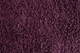 Ковер с высоким ворсом Loca 6365A d.purple 0.80x1.50 - изображение 3