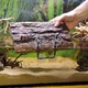 Плавающий остров для черепах Hobby Turtle Island 1 17,5x11см (35025) - изображение 4