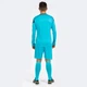 Вратарская форма Joma PHOENIX бирюзовый M 102858.013 M - изображение 3