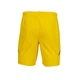 Мужские шорты Joma желтый XL AT102024A907 XL - изображение 2