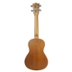 Укулеле концерт Huasheng UK24 Brown - изображение 3