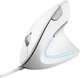 Ведущая компьютерная мышь Trust Verto Ergonomic USB-A/1000 - 1600 dpi Белый (25133_TRUST) - изображение 1