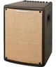 Гітарний комбопідсилювач IBANEZ T80II (227262) - изображение 1