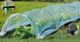 Парник,теплиця (тунель) плівкова 0,5 Х 6 м GardenLine EVA5900 - зображення 4