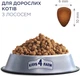 Сухий корм для дорослих кішок Club 4 Paws (Клуб 4 Лапи) Преміум. З Лососем 14 кг (4820083909238)(B4630501)A - изображение 4