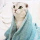 Плед для тварин Soft Warm Fluffy Pet Blanket 70х100 см Зелений - зображення 8
