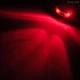 Налобний ліхтар Mil-Tec CREE XPE LED Білий/Червоний 200 лм 15168002 - зображення 7
