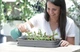 Контейнер для рослин Prosperplast Respana Table Greenhouse DREH400P-405U з кришкою сірий - зображення 2