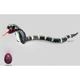 Игрушечная королевская кобра SGARY Naja Cobra р/у - изображение 2
