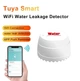 Детектор витоку води WiFi датчик затоплення Water Leakage Detector - зображення 1