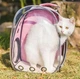 Рюкзак переноска Cat Pet для домашніх тварин (кішок, собак, кроликів, птахів) ( код: IBH0071P ) - зображення 6