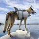 Спасательный жилет для собак Shark Design, M Серый - изображение 4