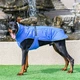 Зимове пальто з коміром флісовим Derby Blue, XL Синій - зображення 2