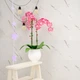 Самоклеящаяся стеновая PET плитка 600*300*2mm (D) SW-00001679 - изображение 8