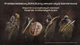 Gra Dragon's Dogma II dla PC (Klucz elektroniczny) (5055060902479) - obraz 14