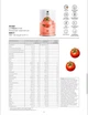 Диетический суп LR Figu Active Juicy Tomato 500 грамм (10 порций) для контроля массы тел - изображение 2
