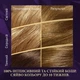 Стойкая краска для волос Wella Color Perfect 7 7/0 Осенние листья 120 мл (4064666598352) - изображение 4