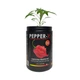 Набір для вирощування гострого перцю Pepper-X Carolina Reaper Red (Каролінський Жнець) - изображение 2