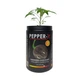 Набір для вирощування гострого перцю Pepper-X Habanero Chocolate (Хабанеро Шоколад) - изображение 2
