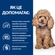Сухой корм Hill’s Prescription Diet Gastrointestinal Biome Mini для миниатюрных пород при заболеваниях жкт 1 кг - изображение 5