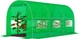 Теплица садовая с окнами FunFit Garden 7m2 = 350*200*200 (Зелена) (1481) - изображение 2
