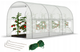 Теплиця з вікнами для саду FunFit Garden 6m2 = 300х200х200 (1465) - зображення 1