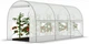 Теплиця з вікнами для саду FunFit Garden 6m2 = 300х200х200 (1465) - зображення 8