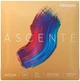 Струни для скрипки D'Addario Ascenté Violin String Set 3/4 Scale Medium Tension - зображення 1