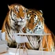 Фотошпалери з природою в інтер'єрі 254x184 см 3D Тварини Два тигра Кішки (130V4)+клей - зображення 5