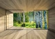 Флизелиновые фотообои для зала 254x184 см 3D Терраса Окно Березовый Лес Природа (14239V4)+клей - изображение 2