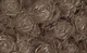 Флизелиновые узоры для фото обоев цветы 416x254 см Коричневая текстура - Розы (3517VEXXXL)+клей - изображение 2