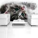 Коты флизелиновые фотообои 3D 416x254 см Сладкий котенок (1183VEXXXL)+клей - изображение 7