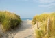 Летние флизелиновые 3D фотообои море пляж (11844V)+клей - изображение 2