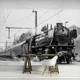 Флизелиновые фотообои 3д поезд 460x300 см Черно-белый паровоз в пути (11385V12) +клей - изображение 5