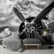 Флізелінові 3д фотошпалери 416x254 см Чорно-білий літак з пропелером (12714VEXXXL) +клей - зображення 1