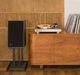 Програвач вінілу JBL TT 350 (JBLTT350EU) - зображення 12