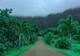 Флизелиновые 3D фотообои растительные Природа Пейзаж Дорога на Гавайях (13988V)+клей - изображение 2