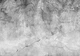 Ретро флизелиновые фотообои 254x184 см Серые листья пальмы на бетонной стене (14514V4)+клей - изображение 2