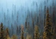 Флізелінові фотошпалери в спальню природа 3D Ліс - дерева в тумані (13915V)+клей - зображення 2