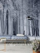 Флізелінові фотошпалери Природа Дерева Сніг 206x275 см Зима в лісі (12923VEA)+клей - зображення 6