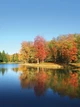Флизелиновые 3D фотообои природа 184x254 см Осенний лес за озером (12113V4A)+клей - изображение 2