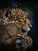 Флизелиновые фотообои 184x254 см Леопард (11892V4A)+клей - изображение 2