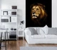 Флизелиновые фото обои кот 184x254 см Лев (11766V4A)+клей - изображение 7