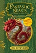 The Hogwarts Library Box Set - изображение 2
